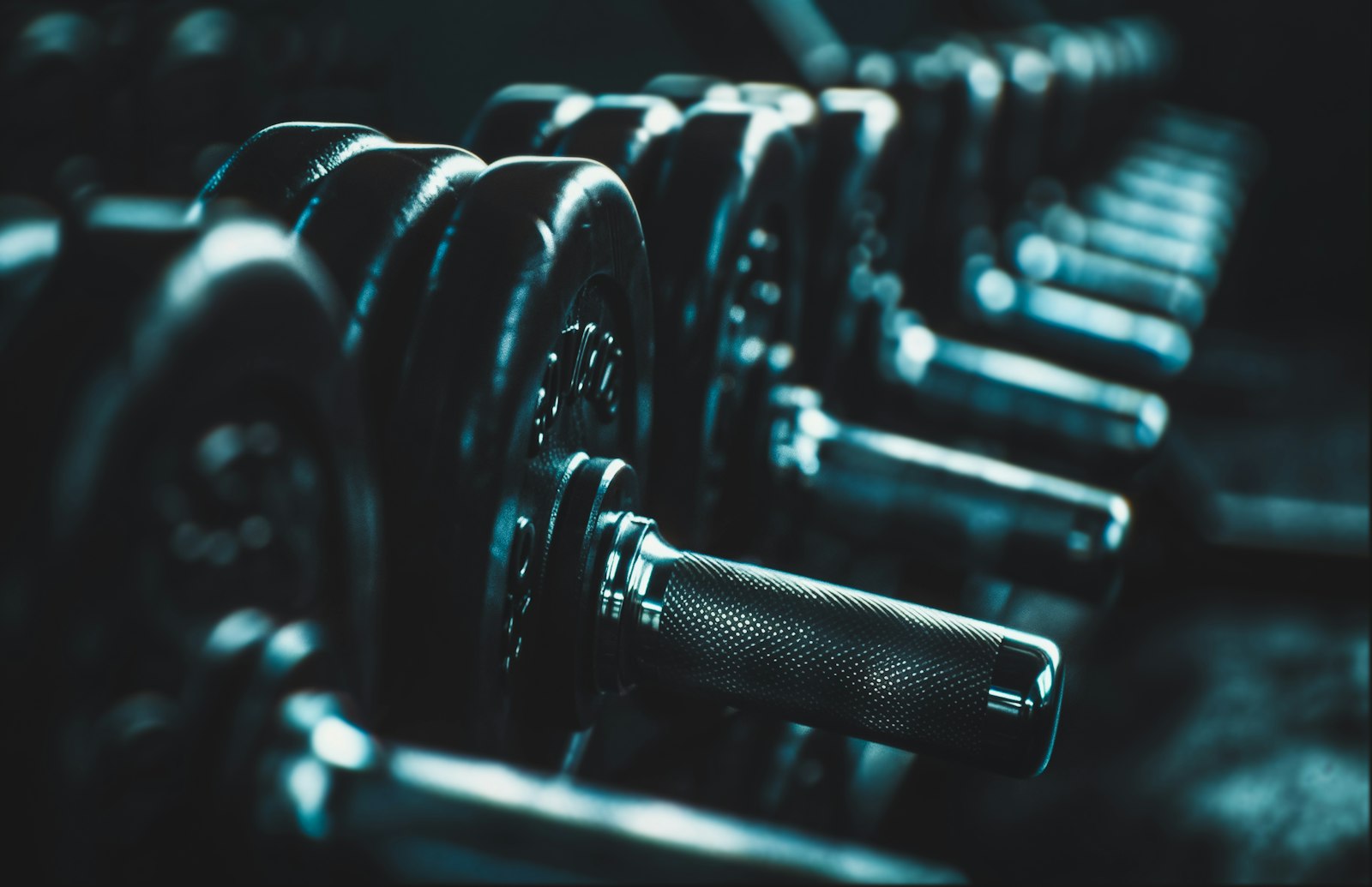 Row of dumbbells stored on a gym rack